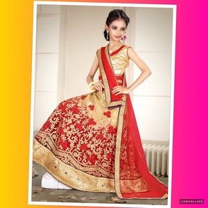 Authentic Embroidered Net Lehenga Beige and Red